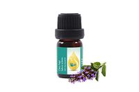 Clary Sage (Salvia sclarea) Essential Oil, 100% Pure, Therapeutic Grade 5ml (1/6 oz)