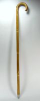 Old Fashioned Horse Measuring Walking Stick Cane