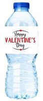 Within The Circle of Love Happy Valentine's Day Party Decoration Water Bottle Labels -15pack