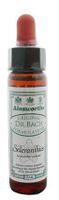 Original Bach Flower Remedy 10ml - SCLERANTHUS by Ainsworths