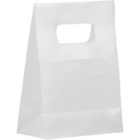 JAM PAPER Frosted Lunch Bags - 3 x 4 x 1 1/2 - Clear - Sold Individually