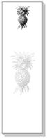 Ars Antigua Slim Writing Blocs (Notepads) Pineapple Vintage Engraving Two Blocs of 50 Sheets Each - Total of 100 Printed Sheets