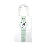 GIFT EXPRESSIONS 12 Small White Kraft Paper Bags, Kraft Gift Bag, Premium Quality Paper (Sturdy & Thicker), Biodegradable, Party Bags, Shopping Bag, Kraft Bags
