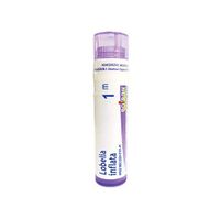 Boiron Lobelia Inflata, 1m, 80 Count