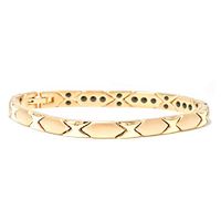 6mm Titanium Gold-Plated Polish Yellow Men Bracelet 8 Inches SPJ