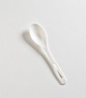 Biodegradable Disposable Spoons Bulk (Pack of 250)
