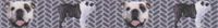 Country Brook Design 7/8 Inch English Bulldog Tough Guy Grosgrain Ribbon, 5 Yards