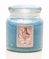 Courtney's Candles Moonlight Reflections Maximum Scented 16oz Medium Jar Candle