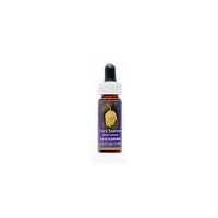 Flower Essence Services Quintessentials Supplement Dropper, Fairy Lantern, 0.25 Fluid Ounce