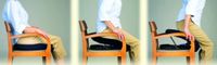 Up-lift Uplift Seat Assist - Model Ul100