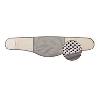 Ellis Lumbar Support Brace,Seasons/Thicken/Self-Heating Waist Warmer Kidney Binder Supports Stretchy Thermal Waistband