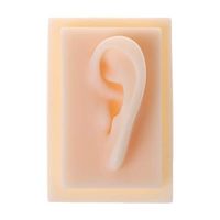 CHBC Human Soft Silicone Left Ear Model Life Size Acupuncture Study Practice Tool Teaching Resources for Medical Science