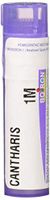 Boiron Cantharis 1m, 80 Count