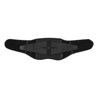 Phiten Titanium Lumbar Support, Firm, Black, Large