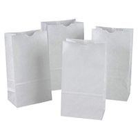 Royal7 100 Bags Rainbow Kraft Bags 6" x 3-5/8" x 11",