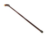 Blackthorn Shillelagh Walking Stick & Hazel Lacquered from Ireland