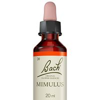 Mimulus (Mimule)