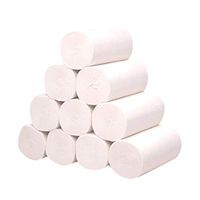Silky & Smooth Soft Professional Series Premium 4-Ply Toilet Paper, wvayoao Home Kitchen Toilet Tissue, Soft, Strong and Highly Absorbent Hand Towels for Daily Use, 10 Rolls (White)
