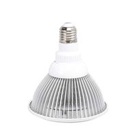 HEALLILY Red Light Therapy Lamp, 12W LED Near Infrared Therapy Device Red Light Bulb for Skin and Pain Relief (Without Lamp Base)