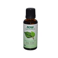 Now Foods 100% Pure Tea Tree Oil, 1 Fluid Ounce