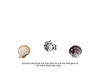 Blank Notecard - Shell Game