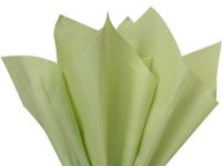 5ct SAGE Green Tissue Paper for Gift Wrapping 20"x26" Sheets Eco-Friendly nfLG -735