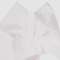 Acid Free Tissue Paper 20" X 30" by Satin Wrap | Quantity: 960