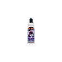 Flower Essence Services Supplement Dropper, Star Tulip, 0.25 Ounce