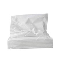 OPOB Napkins, 2-Ply Toilet Paper White