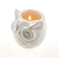 Frespersy Scented Candles Gifts for Women, Aromatherapy Candles, Home Fragrance, Natural Soy Wax with Essential Oil, Stress Relief & Decorative Jar Candles, Owl Ceramic vase, Sakura&Tea