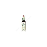 Bach Original Flower Essences Gorse by Bach