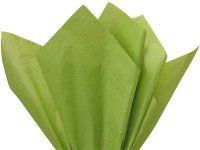 Buy All Store *16 Colors!!* Tissue Paper for Gift Wrapping 15"x20" Solid Sheets Your Choice! (10 Ct) (Moss Green)