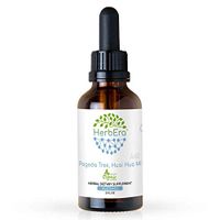 Pagoda Tree, Huai Hua Mi A60 Alcohol Herbal Extract Tincture (Sophora Japonica) Dried Flower (2 fl oz)