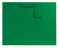 Jillson Roberts 6-Count Large 12.5" x 10" x 5" Gift Bags Available in 12 Solid Colors, Green Matte