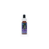 Flower Essence Services Peppermint Dropper Herbal Supplements, 0.25 Ounce