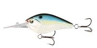 13 Fishing Cliff Banger 12ft Natty Light