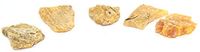 Copal Natural Raw Specimen Set COPAL18