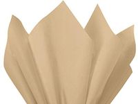 Parchment Tissue Paper 20x30" 480 Sheet Ream - WRAPS-CT3PH