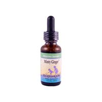 Minty Ginger 1 OZ, Pack of 2