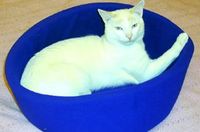 Magnetic Cat Bed