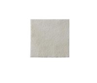 Biatain Alginate Dressing 6 x 6 [Box of 10]