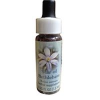 Flower Essence Services Star of Bethlehem Dropper, 0.25 oz (Pack of 2)