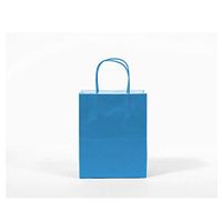 12CT Large Turquoise Biodegradable Paper, Premium Quality Paper (Sturdy & Thicker), Kraft Bag with Colored Sturdy Handle (Large, Turquoise)
