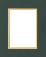 20x24 Double Acid Free White Core Picture Mats Cut for 16x20 Pictures in Pine Green and Yellow