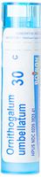 Boiron Ornithogalum Umbellatum 30c, Blue, 80 Count