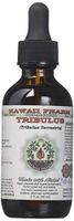 Tribulus Alcohol-FREE Liquid Extract, Tribulus (Tribulus Terrestris) Dried Fruit Glycerite Natural Herbal Supplement, Hawaii Pharm, USA 2 fl.oz