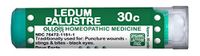 Ollois Organic Lactose-Free Organic Homeopathic Medicines, Ledum Palustre 30C Pellets, 80 Count for Puncture Wounds, Stings & Bites