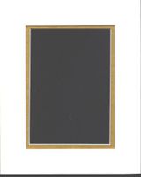 Pack of 5 11x14 White & Gold Double Picture Mats Mattes Matting Cut for 8x10 Pictures