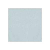 Tissue Silver 5 Count