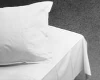 Graham Professional Tissue/Poly/Tissue Drape & Bed Sheets Fanfold Drape Sheet, Tissue/Poly/Tissue, B